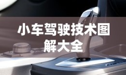名扬天下三合局,风起云涌鑫字开什么生肖