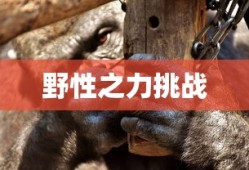 Q宠大乐斗官网入口