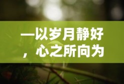 岁月静好，心之所向的启示