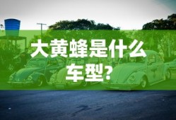 大黄蜂是什么车型?