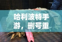 holika holika是什么牌子