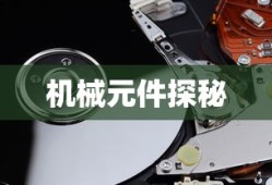 和班尼特福迪一起攻克难关下载正版