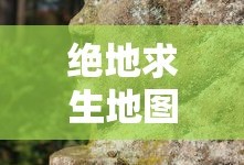 《迟到的欢愉》by欢愉百度云