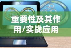 冒险王官网，探索无尽的游戏世界，冒险王官网，探索无尽游戏世界的冒险之旅