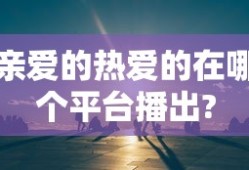亲爱的热爱的在哪个平台播出?