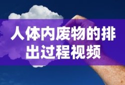 人体内废物的排出过程视频