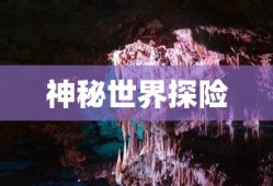 海贼无双3修改器百度网盘