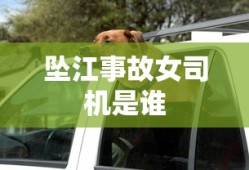 坠江事故女司机是谁