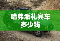 哈弗派礼宾车多少钱