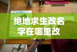 绝地求生改名字在哪里改