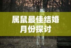 梦幻手游月宫武器选择宝典