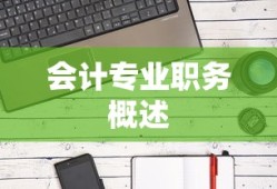 会计专业职务概述