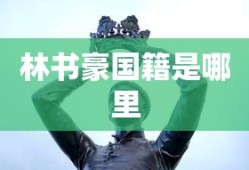 林书豪国籍是哪里