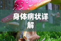 三个代表重要思想是什么时候提出来的