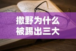 后河车贷客服电话