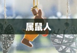 网吧环境下玩鬼泣手游，游戏环境与玩家体验深度解析
