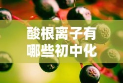 酸根离子有哪些初中化学
