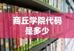 商丘学院代码是多少