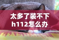 太多了装不下h112怎么办