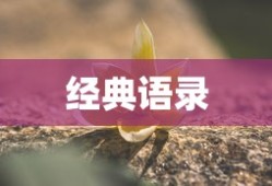 奔驰v260商务车报价七座价格2024