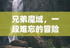 兄弟魔域，难忘的冒险之旅