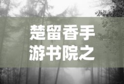 安全带卡扣拆卸步骤详解