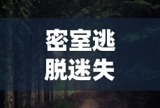 密室逃脱迷失森林攻略完整版