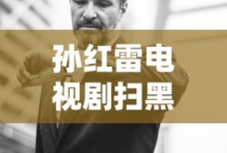 孙红雷电视剧扫黑风暴免费