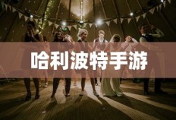 小米10 Apex手游攻略，优化设置与游戏技巧全解析