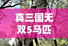 真三国无双5马匹一览