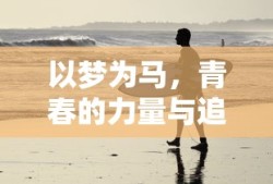 以梦为马，青春的力量与追求，不负韶华