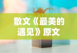 散文《最美的遇见》原文