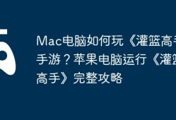 Mac电脑如何玩《灌篮高手》手游？苹果电脑运行《灌篮高手》完整攻略