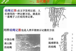 诺亚幻想水母图