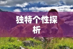 路由器的基本功能
