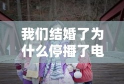 我们结婚了为什么停播了电视剧