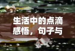生活中的点滴感悟，句子与心情的交织之美
