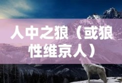 探讨Damage的用法及其在语境中的应用