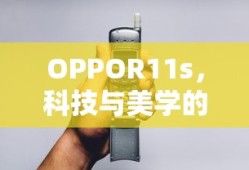网络流行语大西几的含义解析