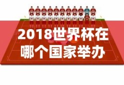 2018世界杯在哪个国家举办的
