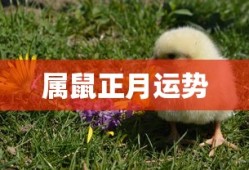 加法结合律公式用字母表示