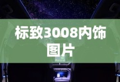 标致3008内饰图片