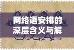网络语安排的深层含义与解析
