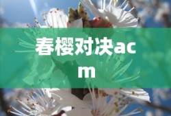 春樱对决acm
