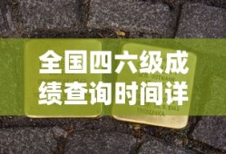 全国四六级成绩查询时间完全解析