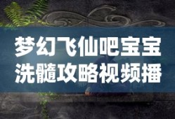 梦幻飞仙吧宝宝洗髓攻略视频播放