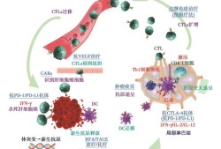 交管12123怎么拍违章挣钱 深山红叶官网