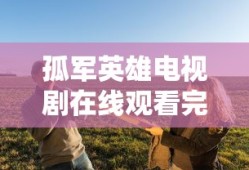 孤军英雄电视剧在线观看完整版