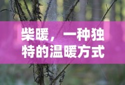 柴暖，独特的温暖方式