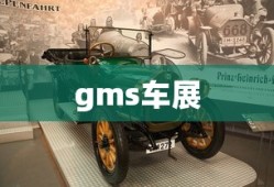 gms车展
